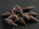 Kilburnigemmula gemmulina