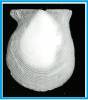 Hyalopecten tydemani