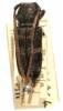 Nyctopais jordani