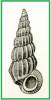 Opalia sumatrensis