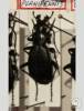 Carabus nothus