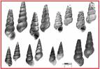 Brotia dautzenbergiana