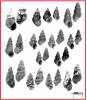 Brotia verbecki