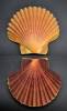 Leopecten diegensis