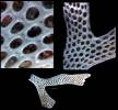 Bryozoa - mechovci