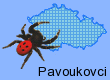 Pavoukovci (Arachnida) - pavouci, sekáči