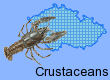 Crustaceans