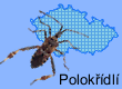 Polokřídlí (Hemiptera) - ploštice atp.