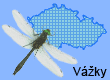 Vážky (Odonata)