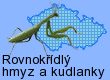 Rovnokřídlý hmyz (Orthoptera) a kudlanky (Mantodea)