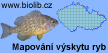 Mapování výskytu ryb v ČR